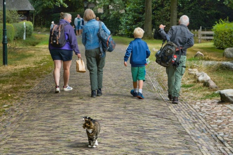 Op pad in Orvelte