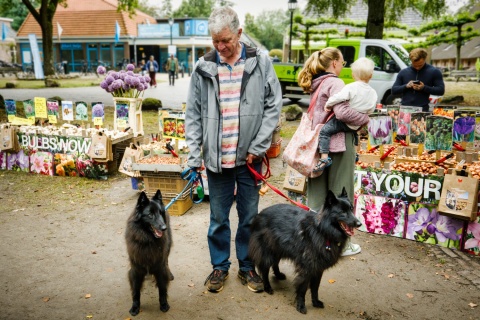 Honden uitlaten