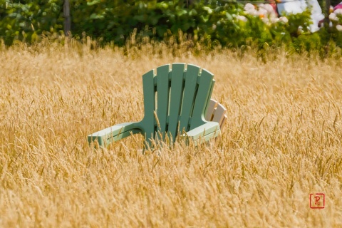TuinstoelInTGras