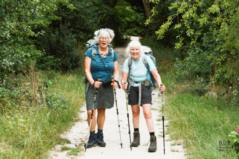 Wandeldames