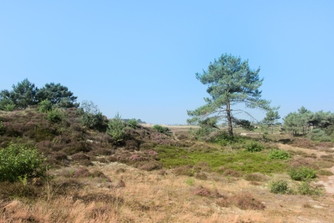 Langs De Nieuweweg